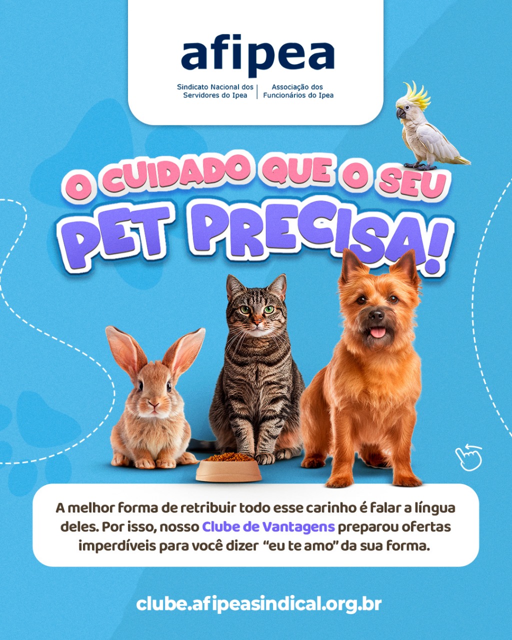 🐾 Cuide de quem te ama incondicionalmente! 