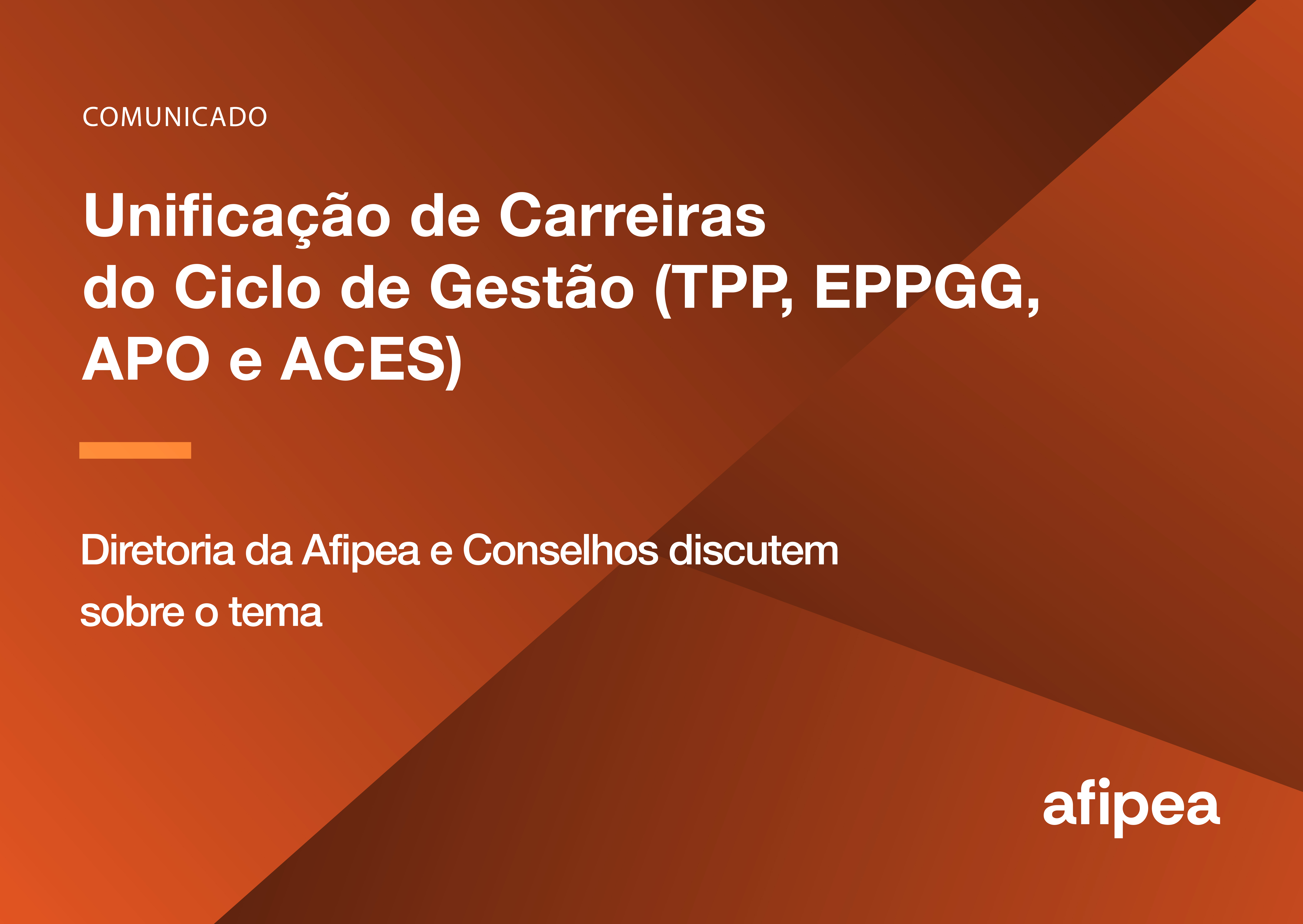 Diretoria da Afipea e conselhos discutem sobre o tema de Unificação de Carreiras